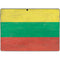 Lithuania Flag Distressed Surface Pro 9 Skin